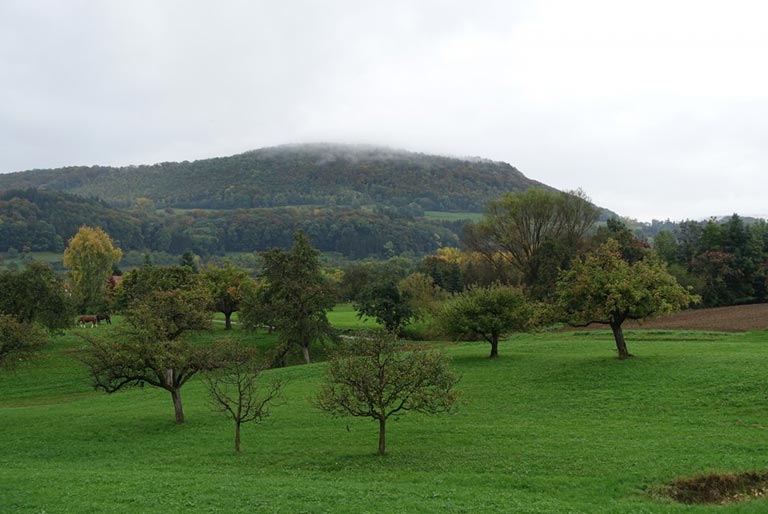 A wide vista of an apple orchard with green rolling hills, mountains, and a cloudy sky.