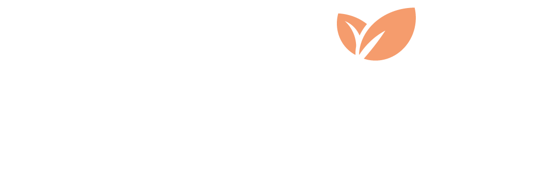 Delmosa logo