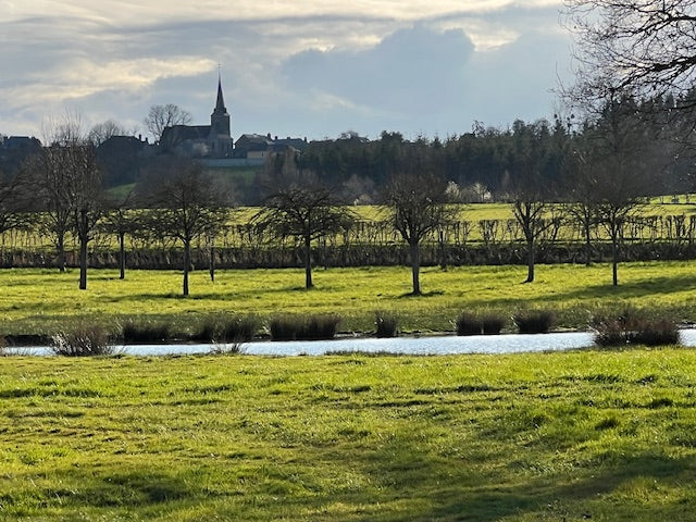 A setting of green grasses, a pond with orchard trees and a wall and a village / town in the background showing a cloudy sky.