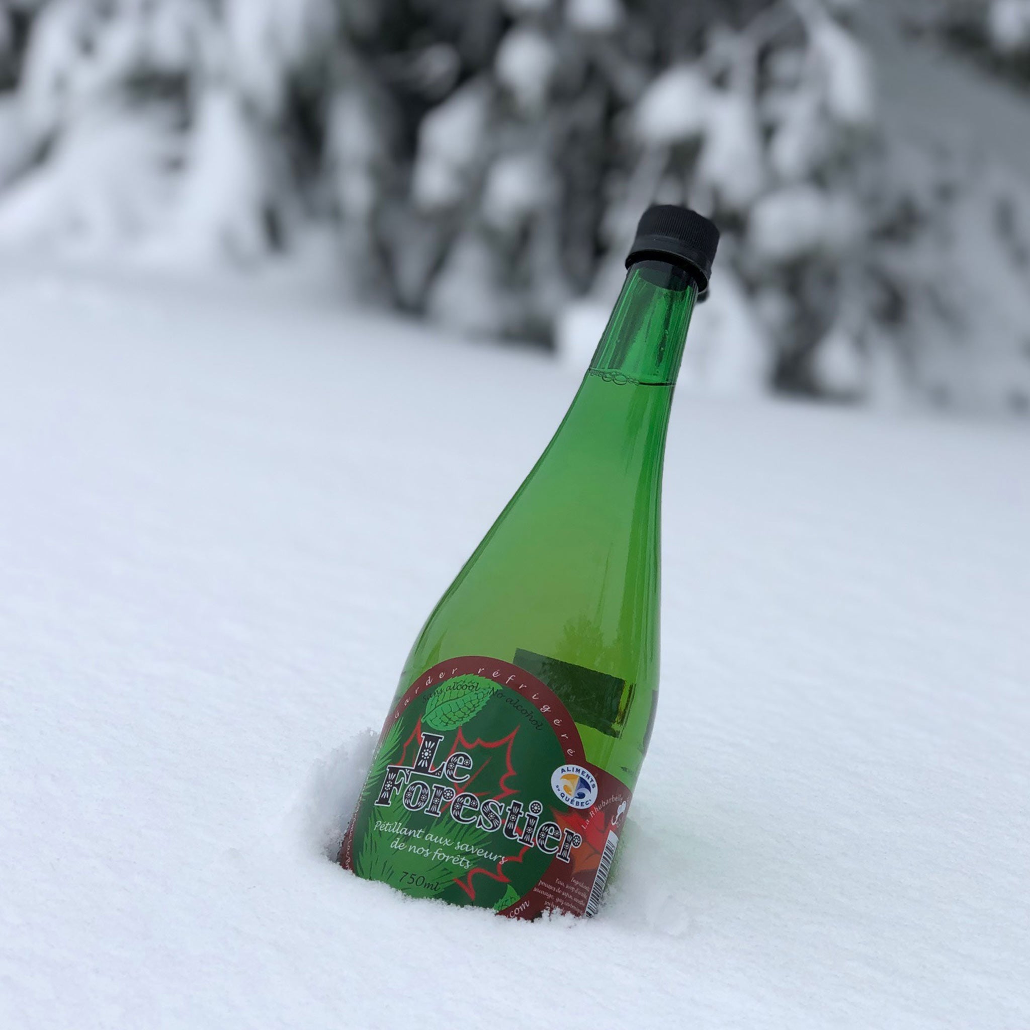 Le Forestier