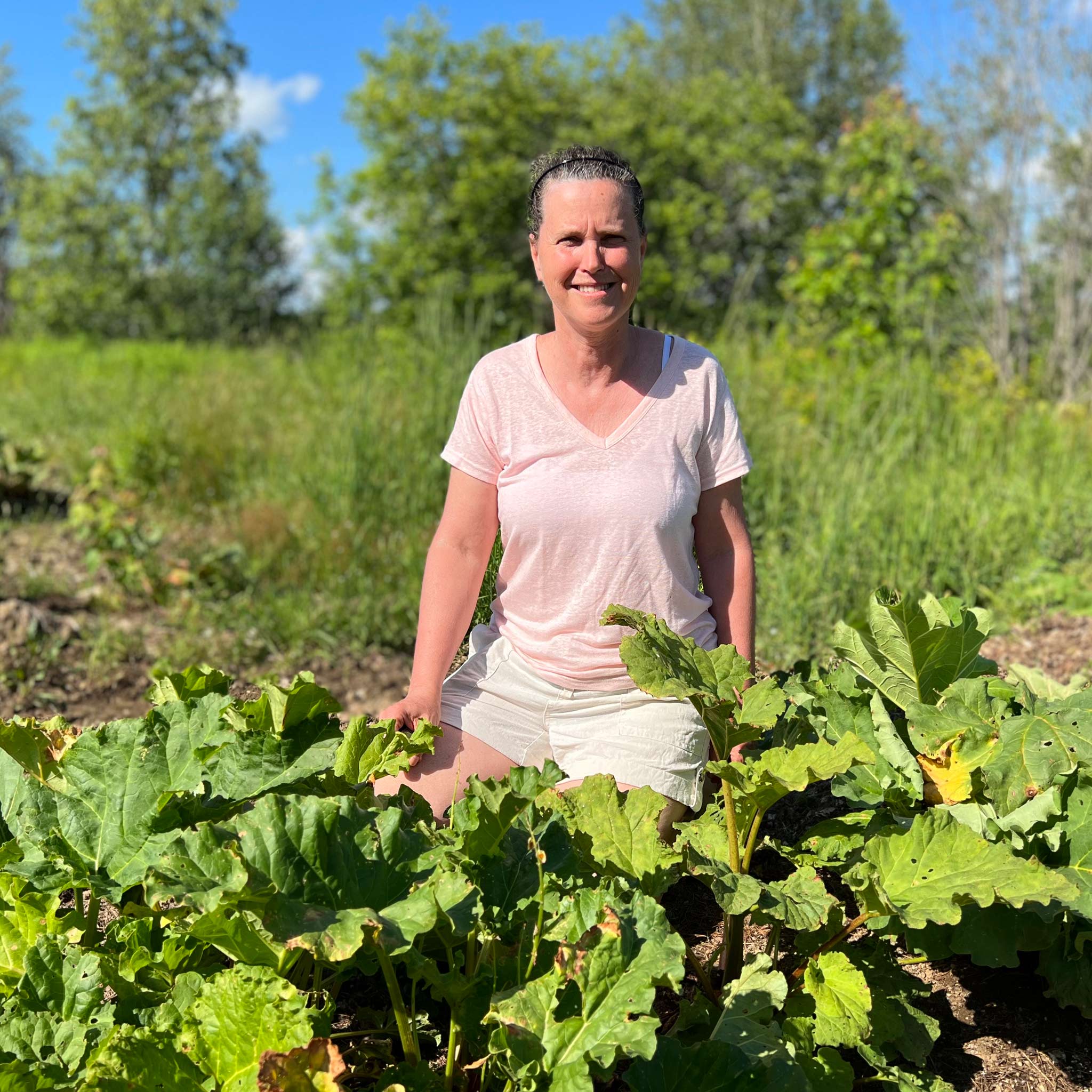 La Rosée de Rhubarb
