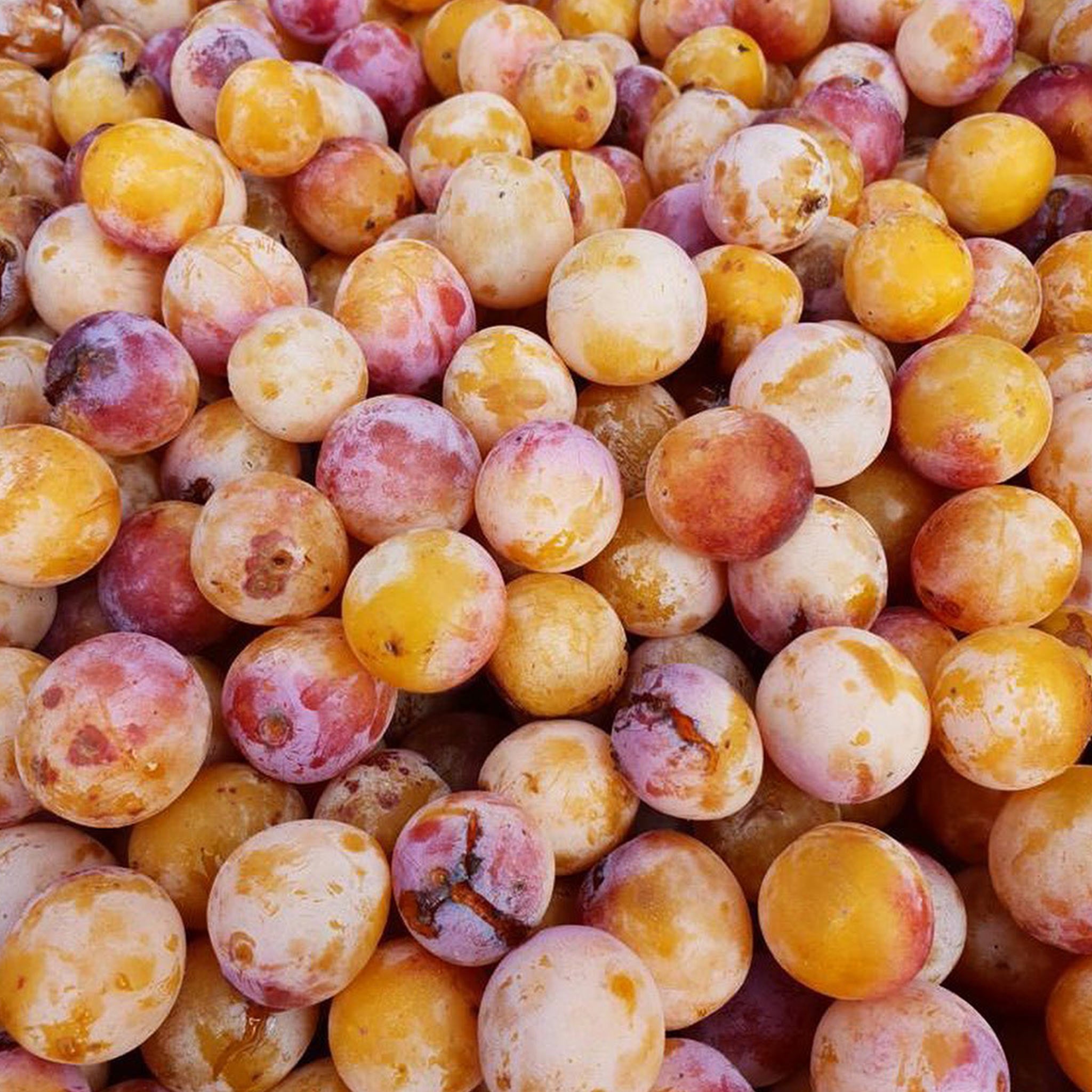 Mirabellengold
